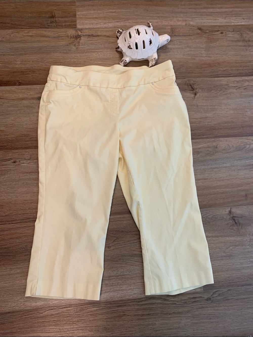 Briggs New York Pale Yellow Cropped Pants tummy control size 16